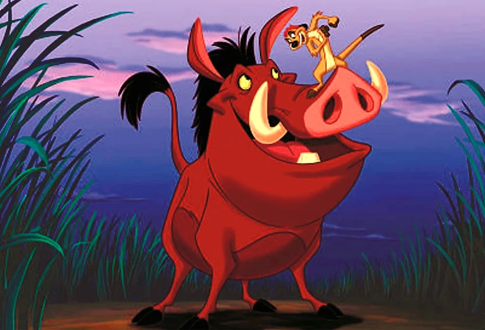 Timon and Pumbaa cartoon