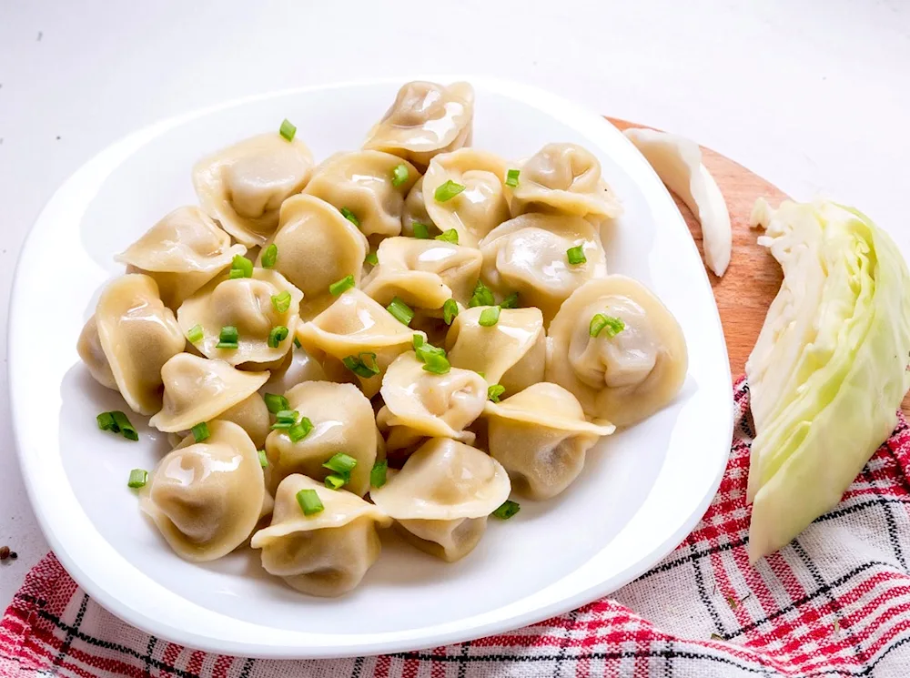 Dumplings homemade