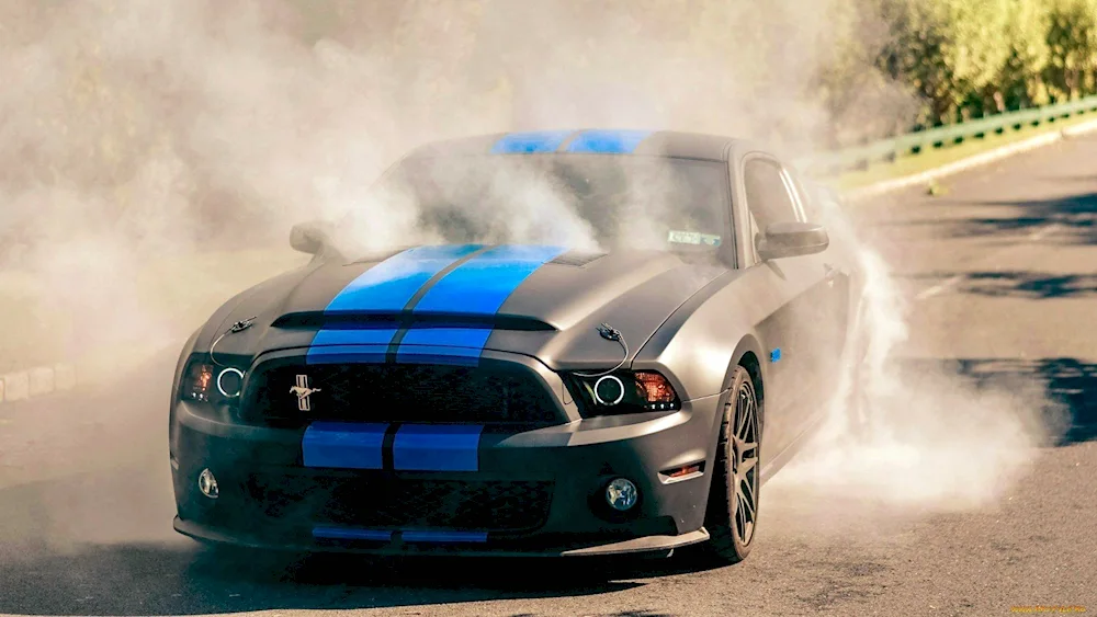 Mustang Shelby gt500 Burnout