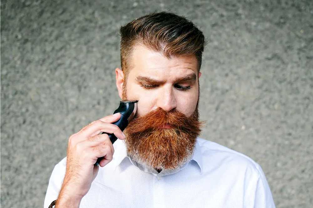 Bearded man