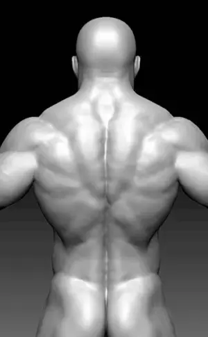 Man's back