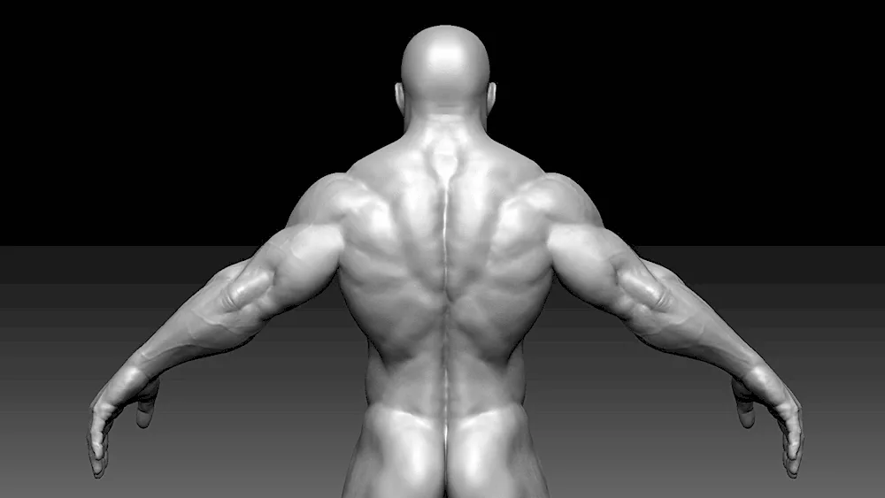 Man's back