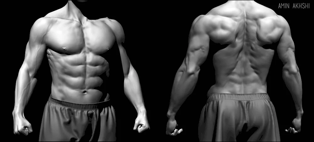 Men's back