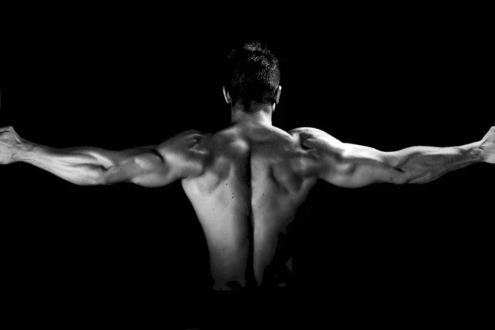 Ecorsche Houdon body