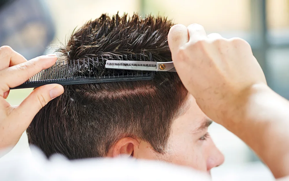 Men's haircut with scissors