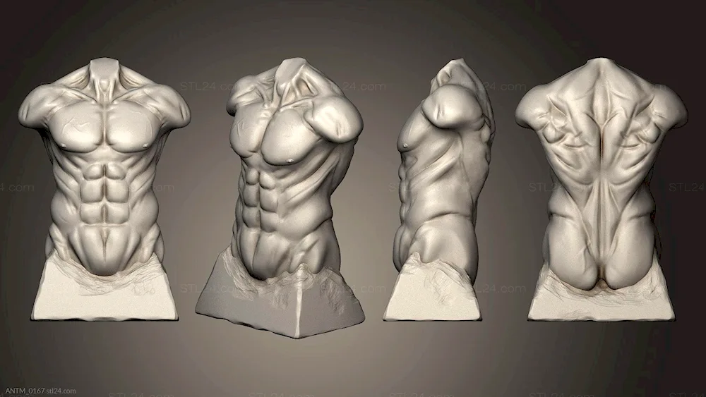 Men's back