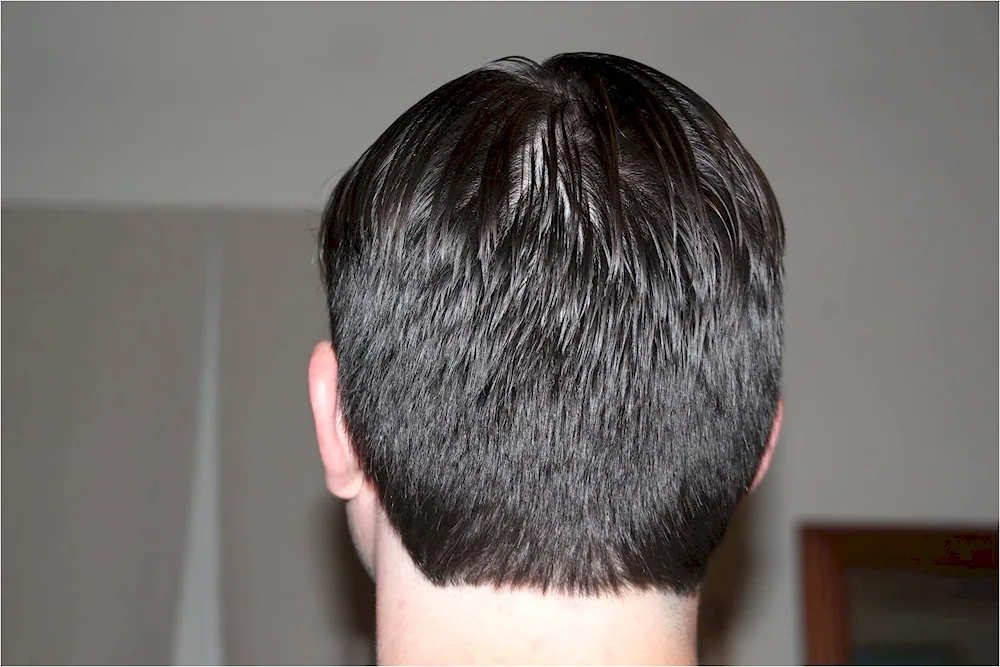 Men's Neck