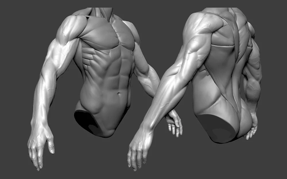 Man back reference