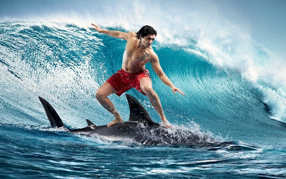 Surfer sport