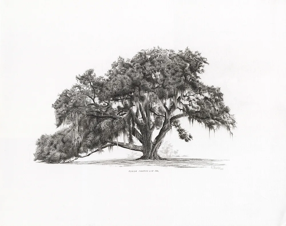 Tree drawing