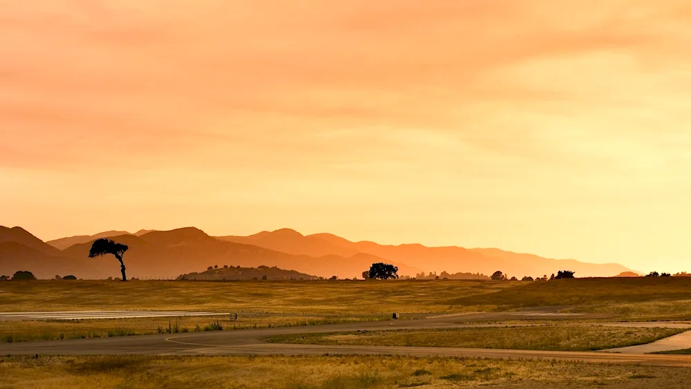 Namibia Savannah