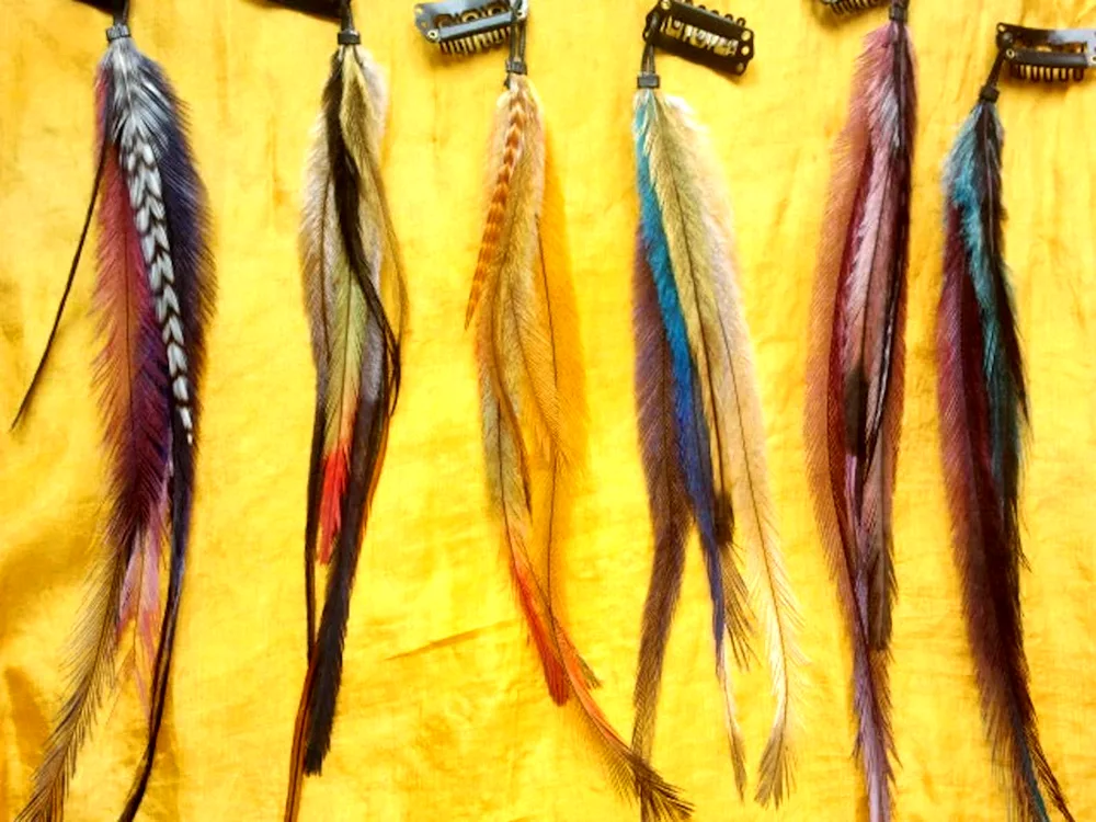 Feathers in the hair