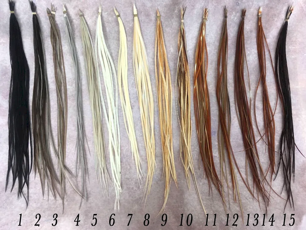 Feathers in hair