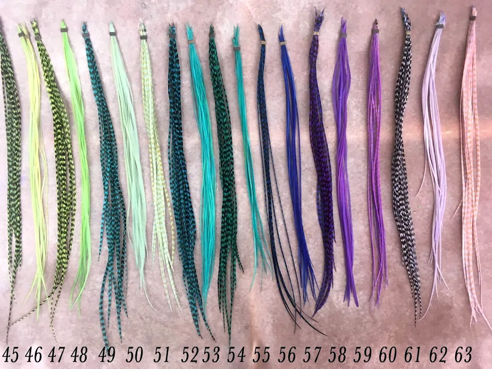 Hair feathers in the hair