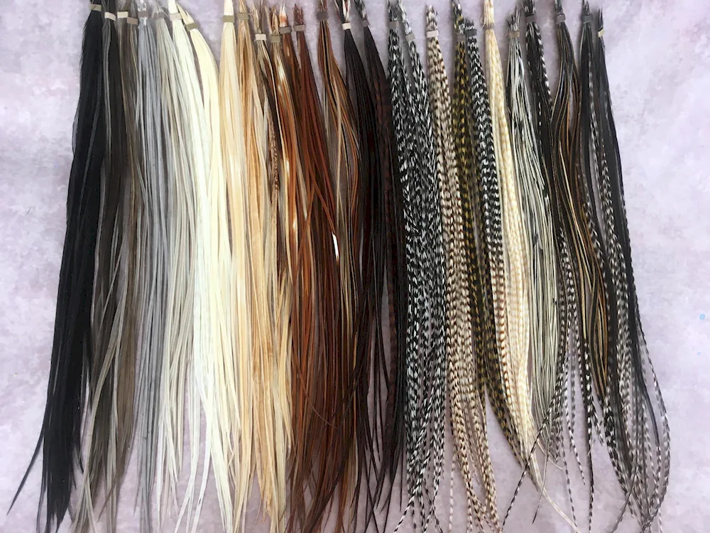 Feathers in the hair