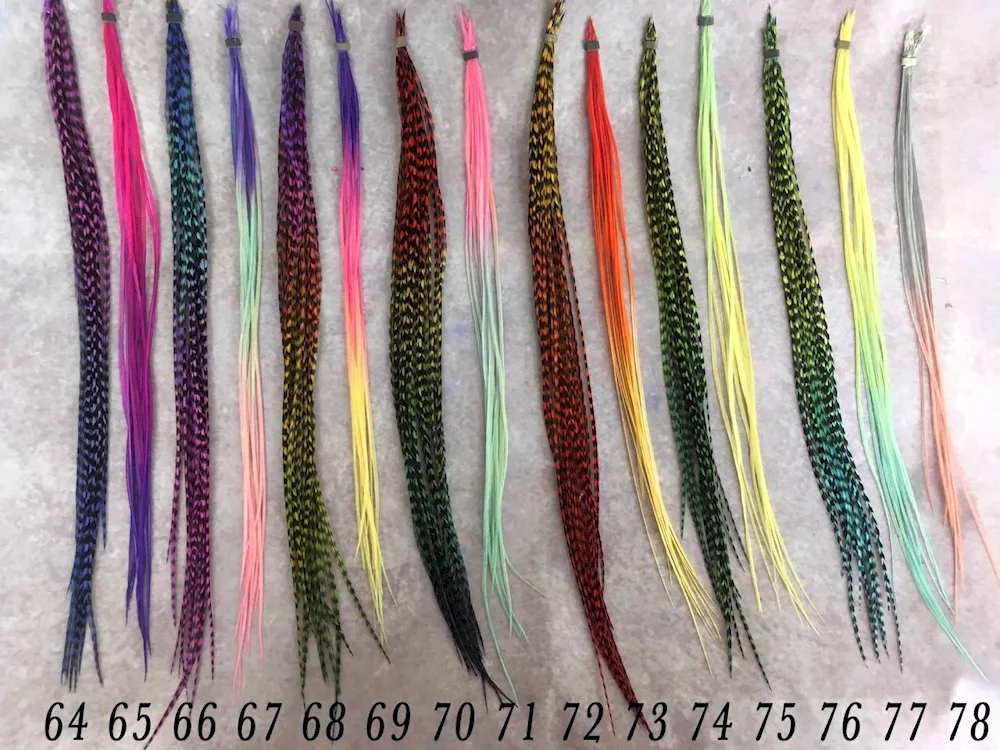 Long feathers
