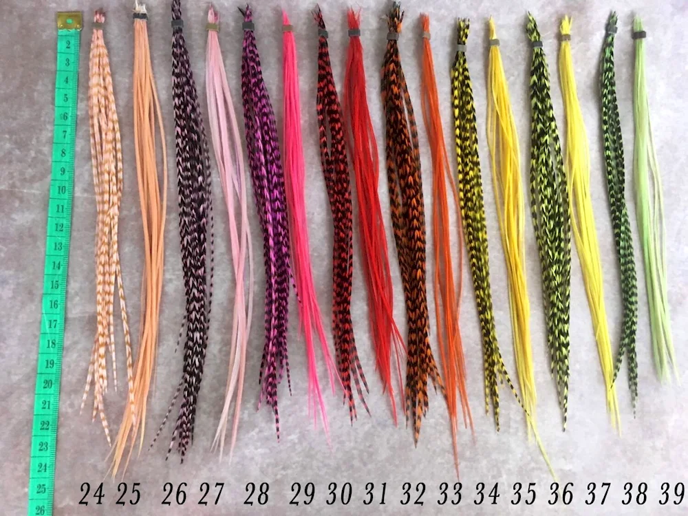 Feathers in hair