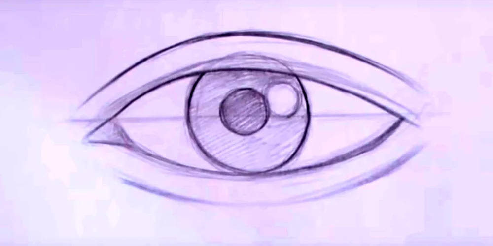 Drawing step by step