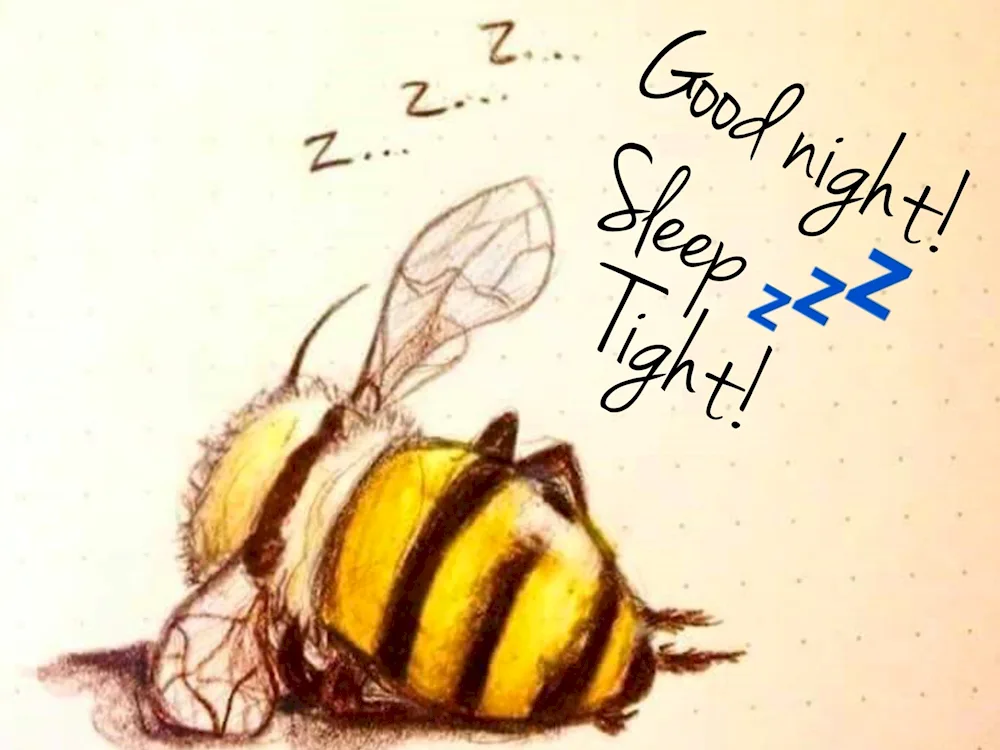 Draw a bee