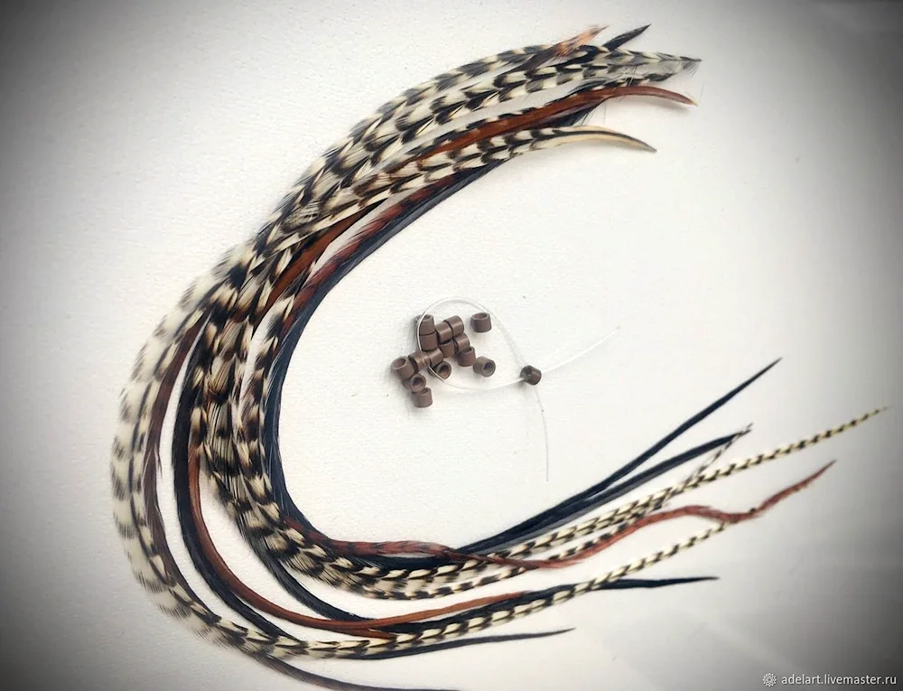 Feathers in hair