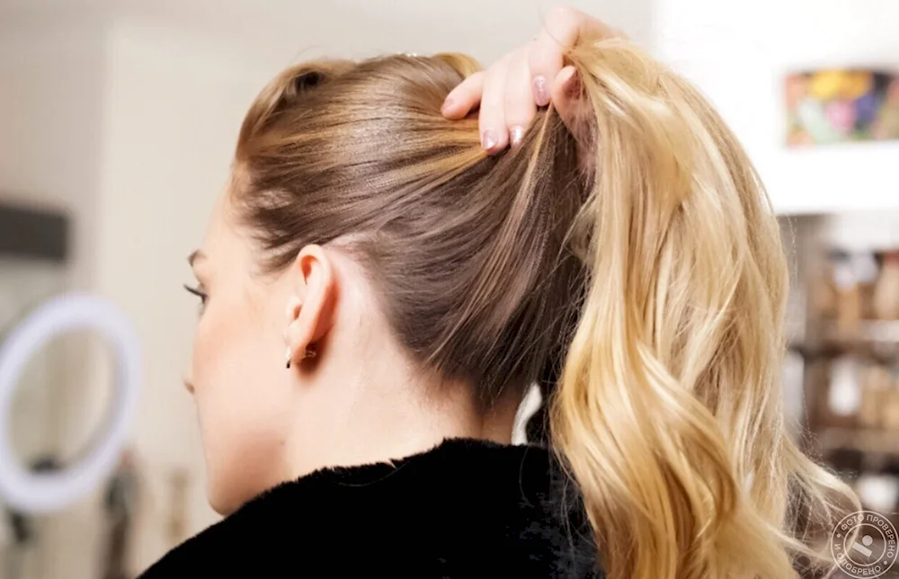 Colouring hair colouring toning