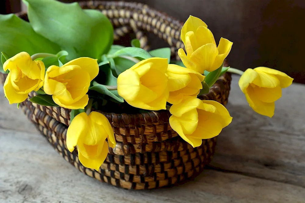 Spring bouquet with daffodils