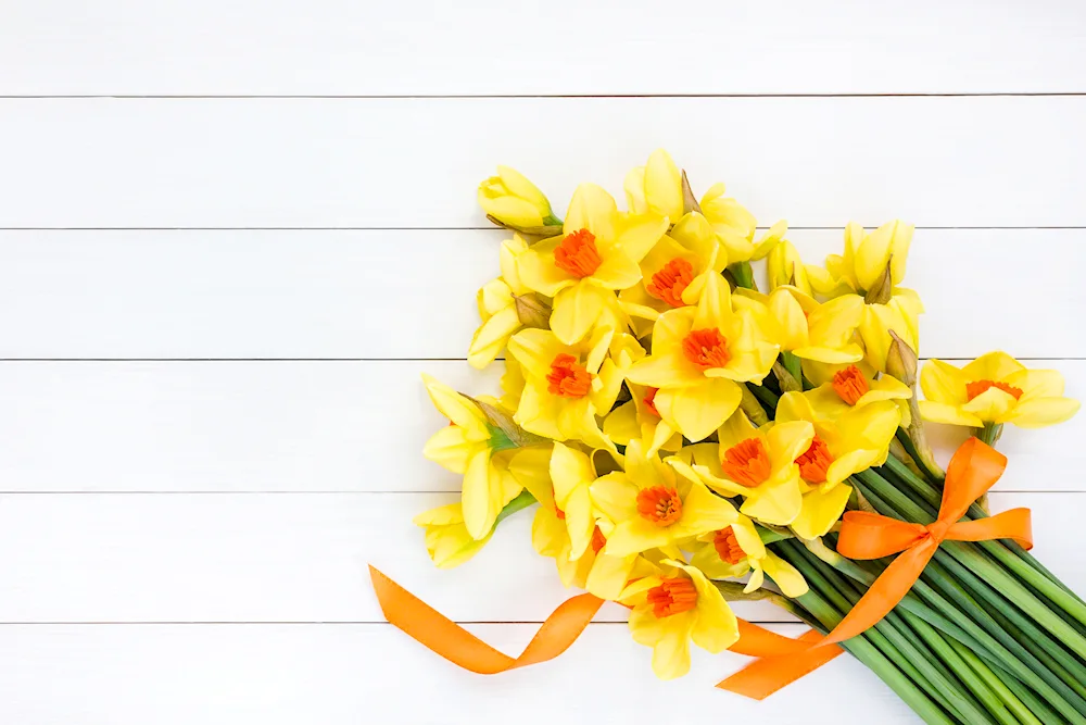 Daffodils flower bouquet