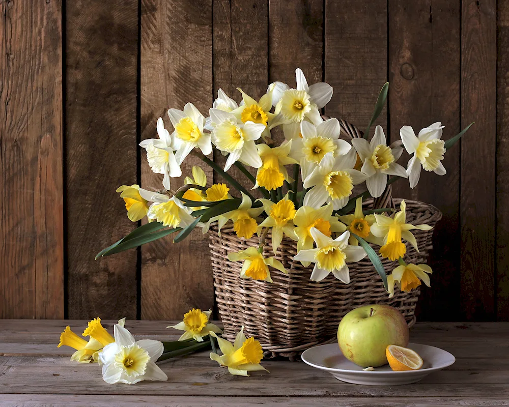 Daffodil March flowers