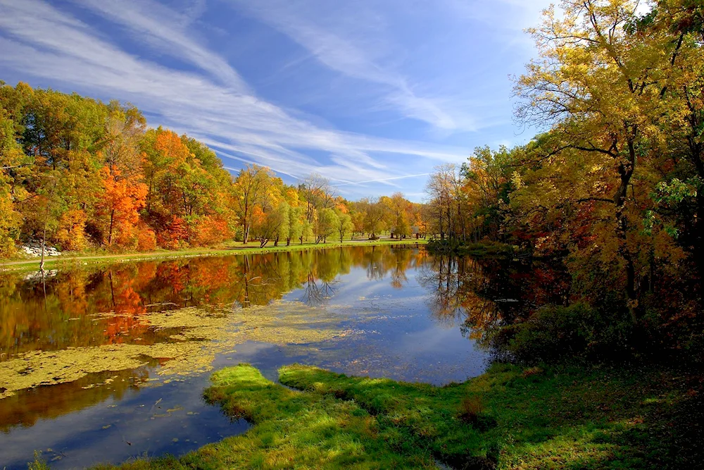 Out of autumn