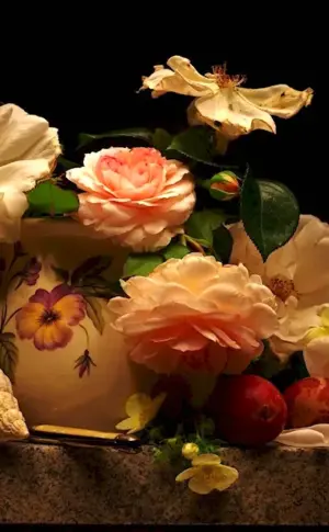 Still Life