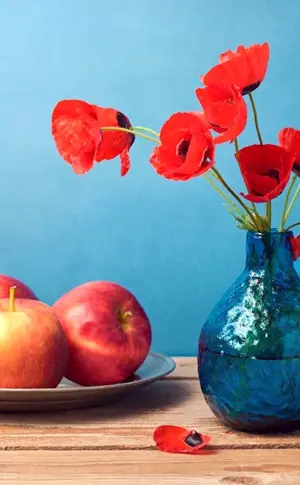 Still Life