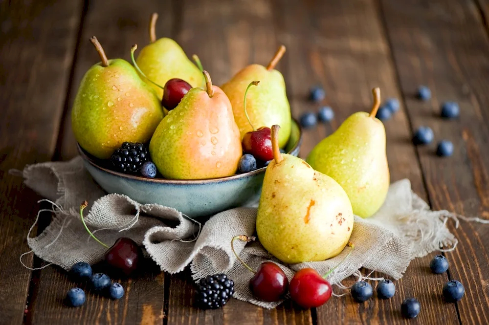 Still life