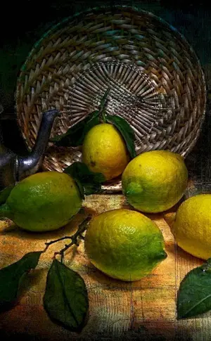 Still Life