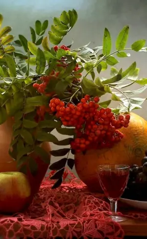 Still Life