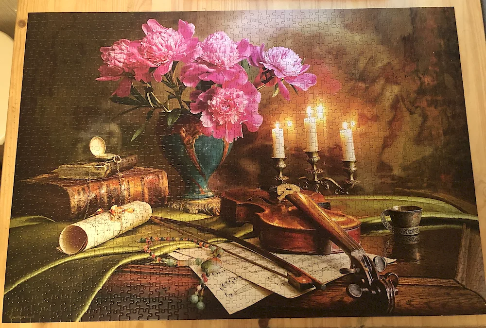 Still life with violin