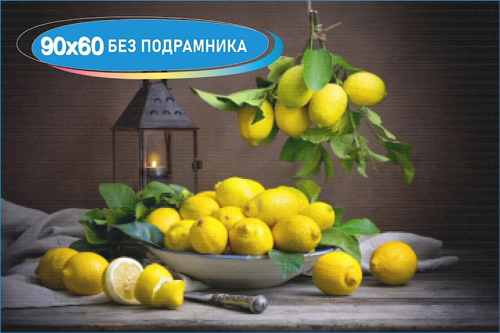 Still Life