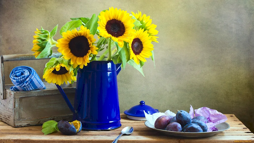 Style still life