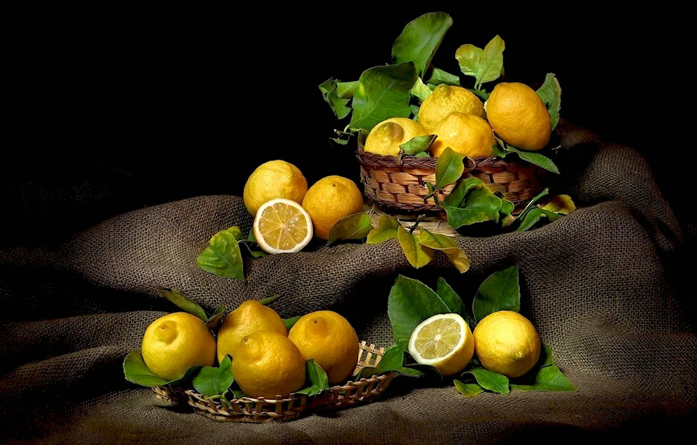 Nat still life