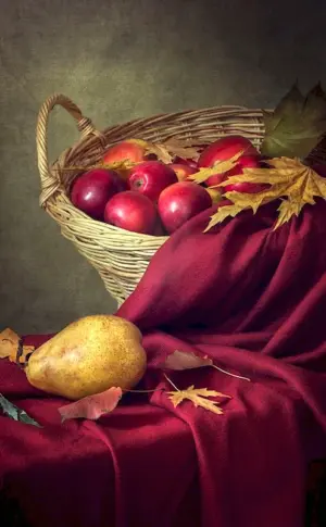 Still Life
