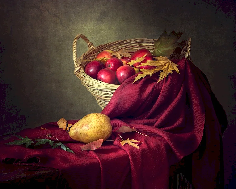 Still Life