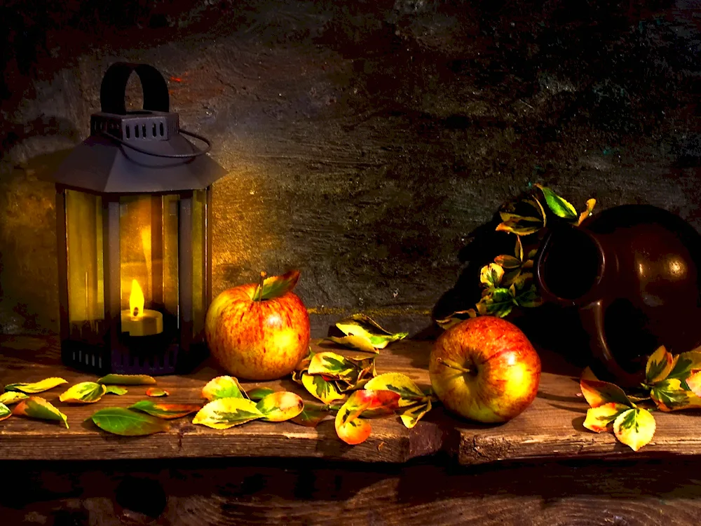 Still Life
