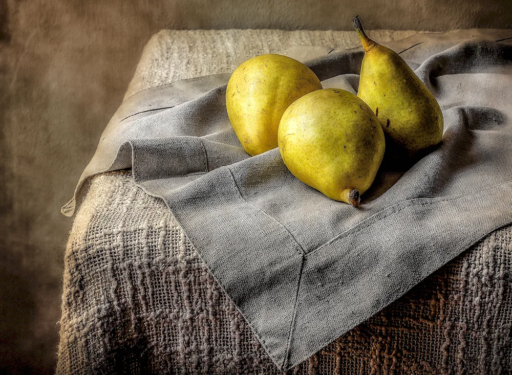 Still life