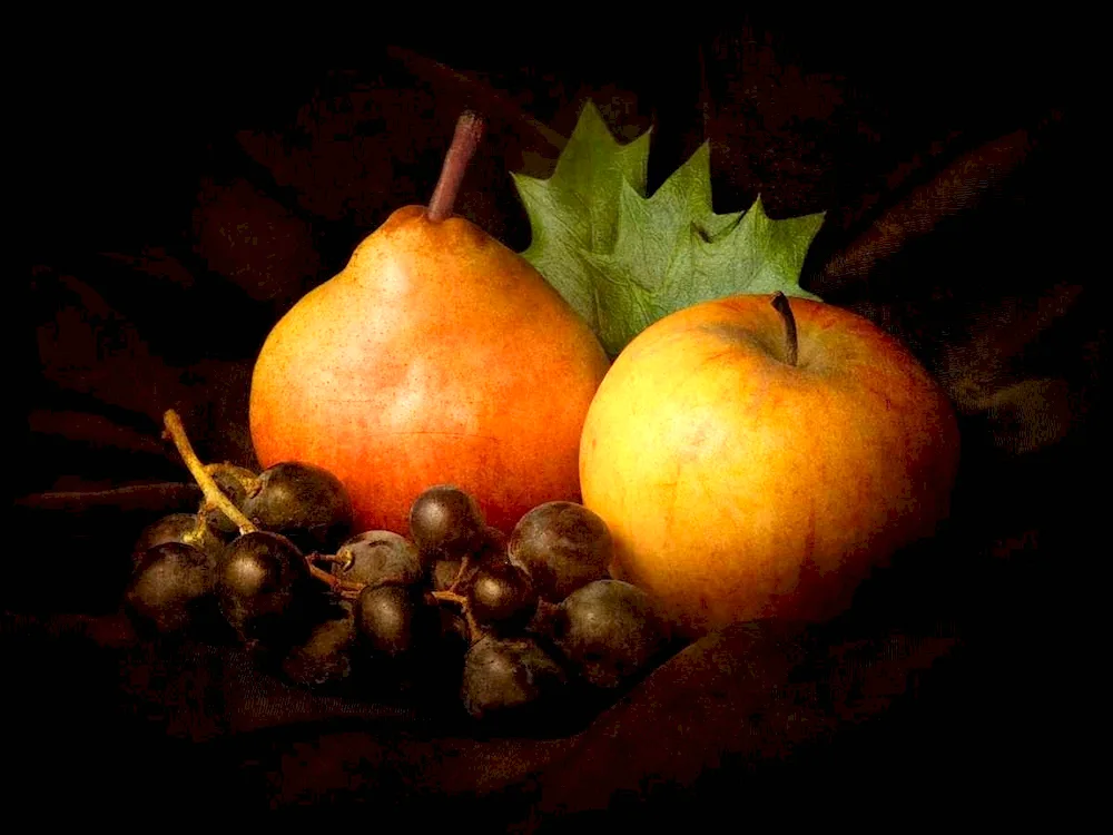 Food still life