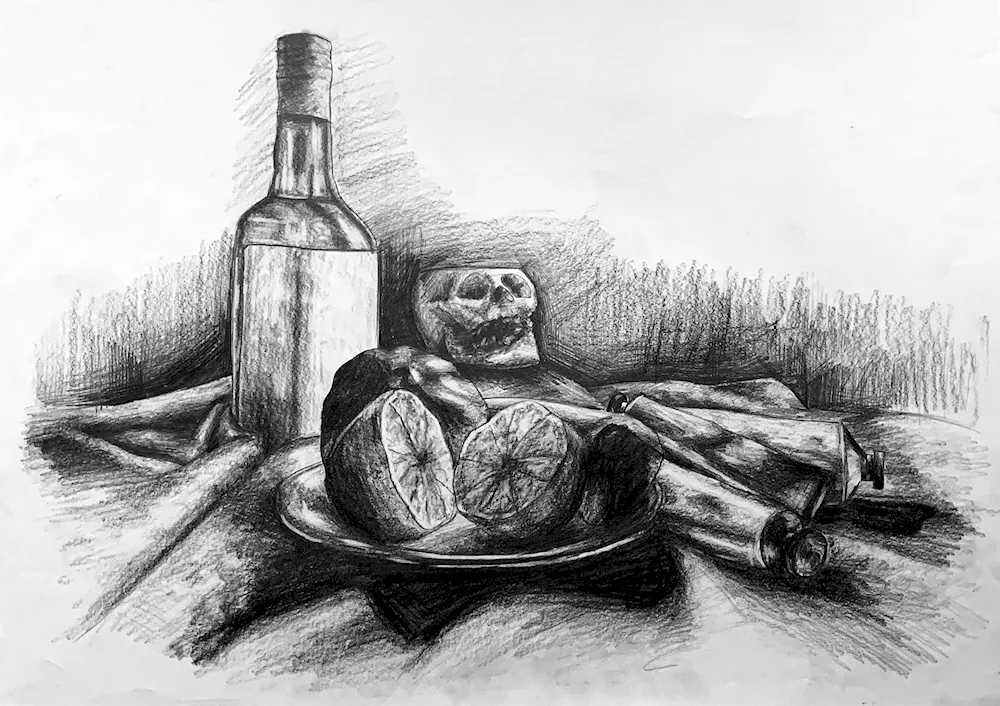 Pencil still life drawing