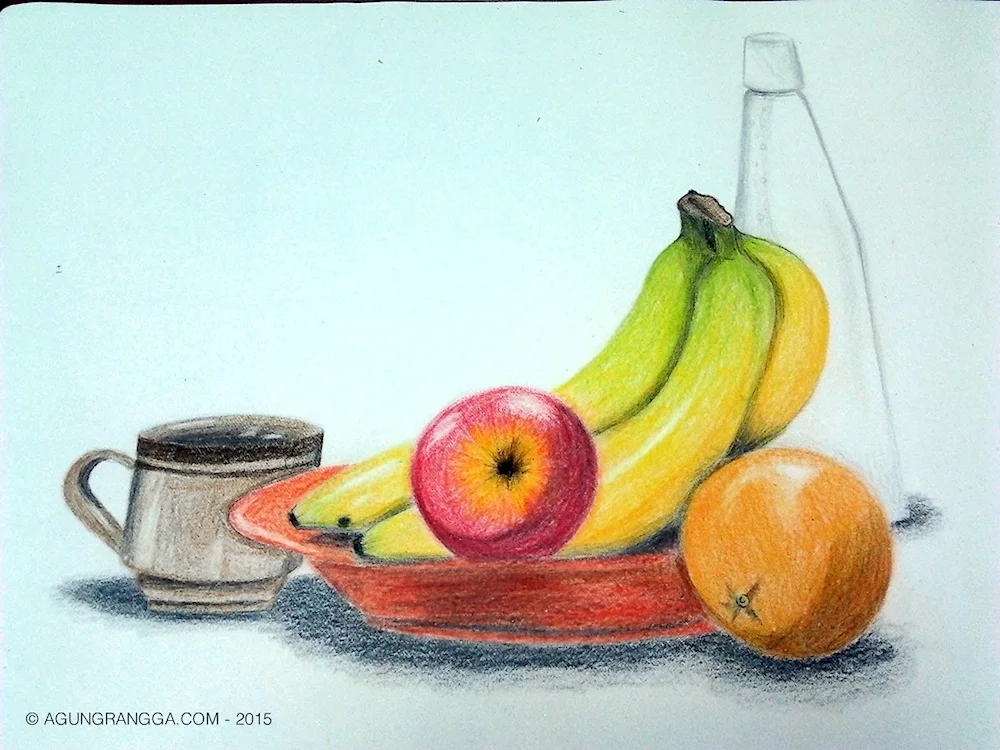 Pencil still life drawing