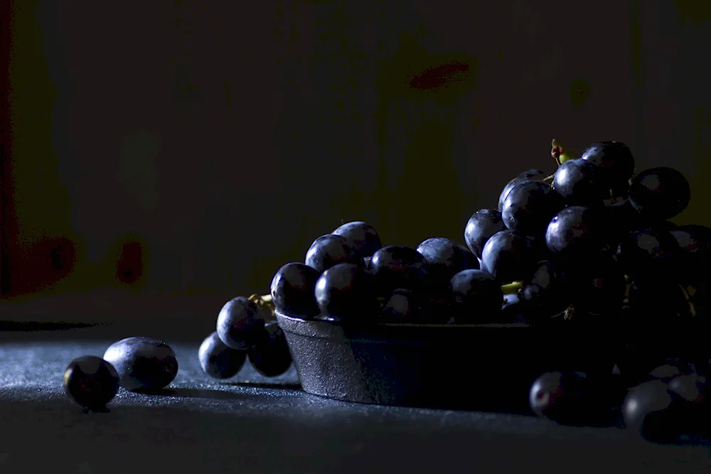 Still life on a dark background