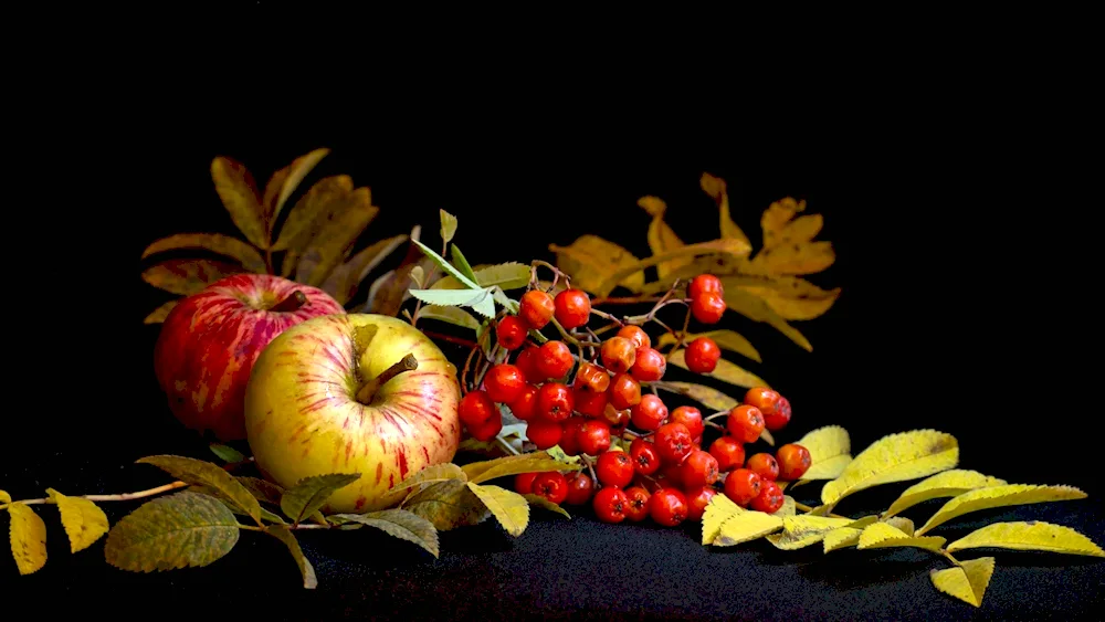 Autumn Still Life