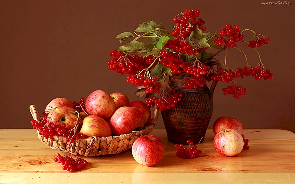 August asters August stars August bunches of grapes and rowanberries