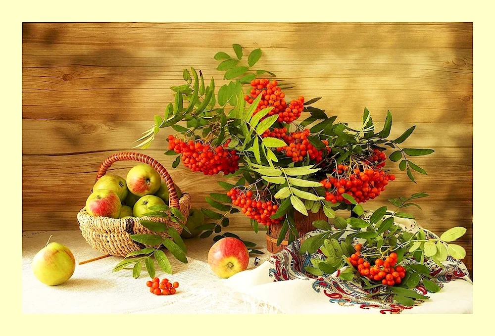 A bunch of rowan berries
