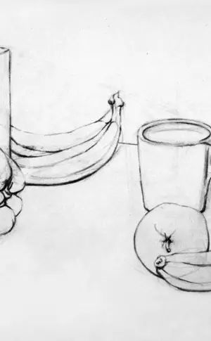 Still Life Drawing with Pencil